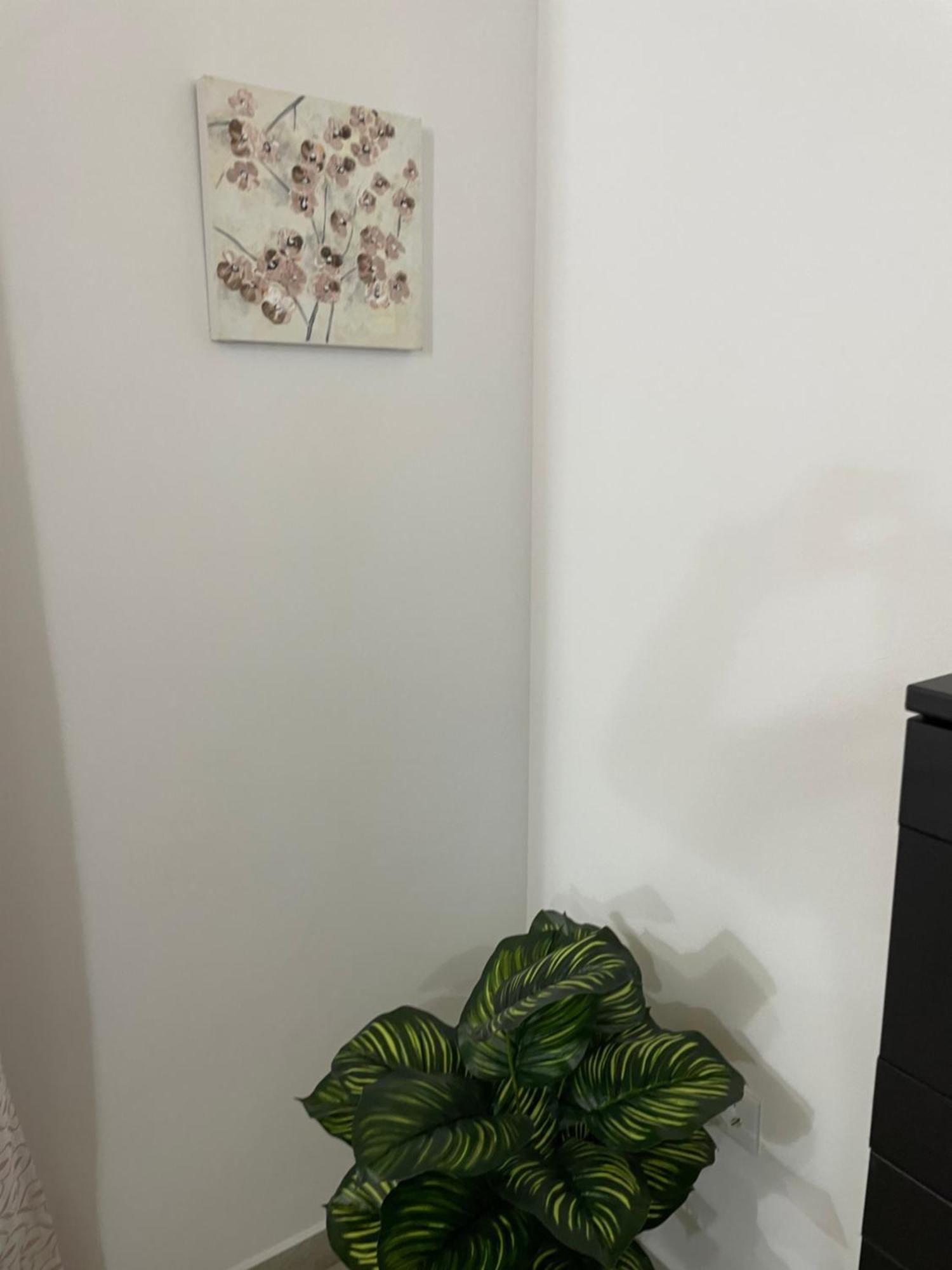 Casa Delia Διαμέρισμα Bornos Εξωτερικό φωτογραφία
