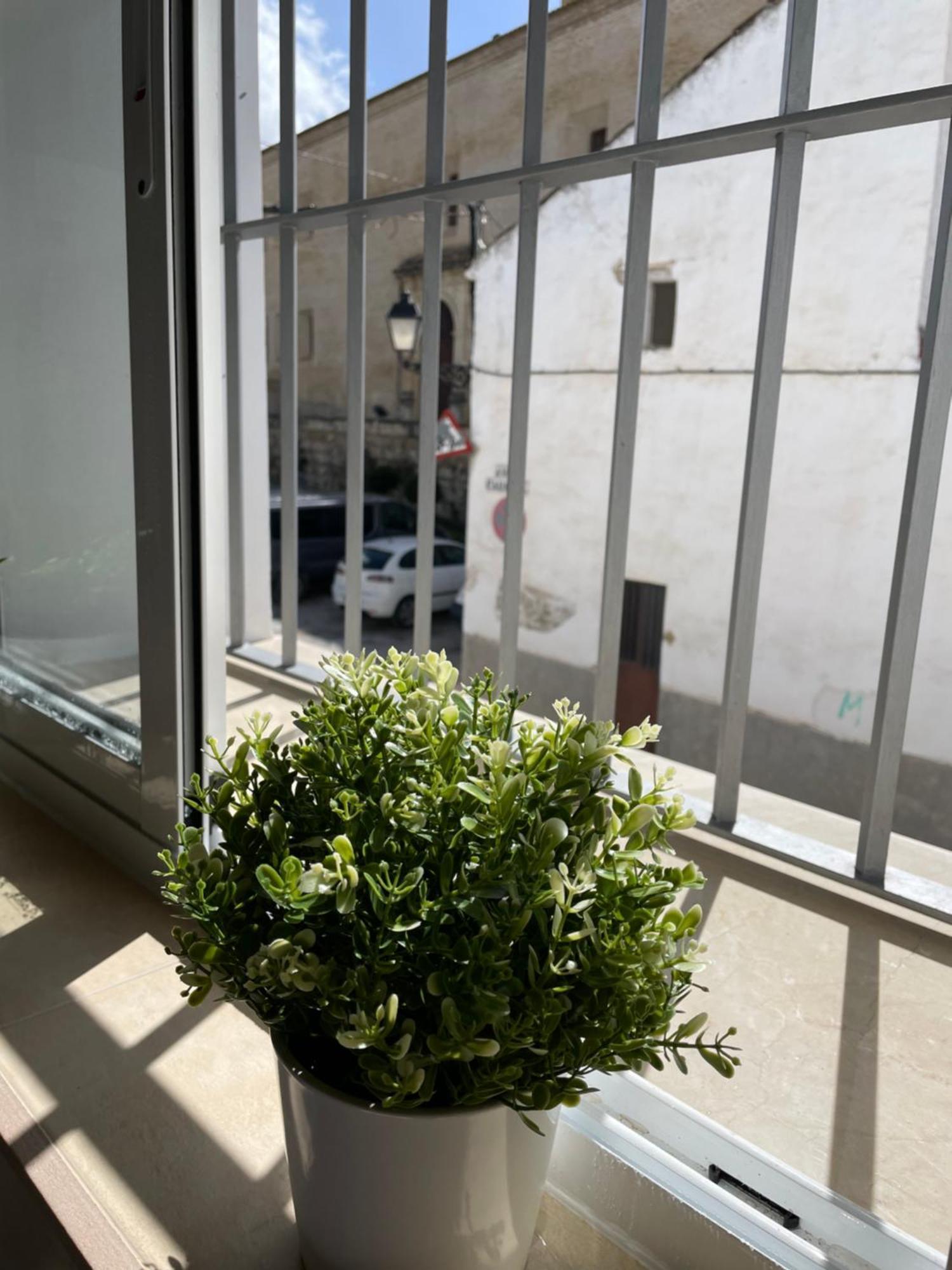Casa Delia Διαμέρισμα Bornos Εξωτερικό φωτογραφία
